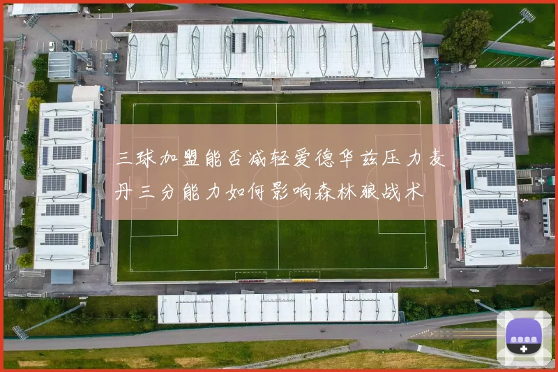 三球加盟能否减轻爱德华兹压力麦丹三分能力如何影响森林狼战术