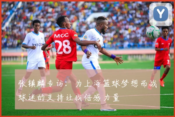 张镇麟专访：为上海篮球梦想而战球迷的支持让我倍感力量